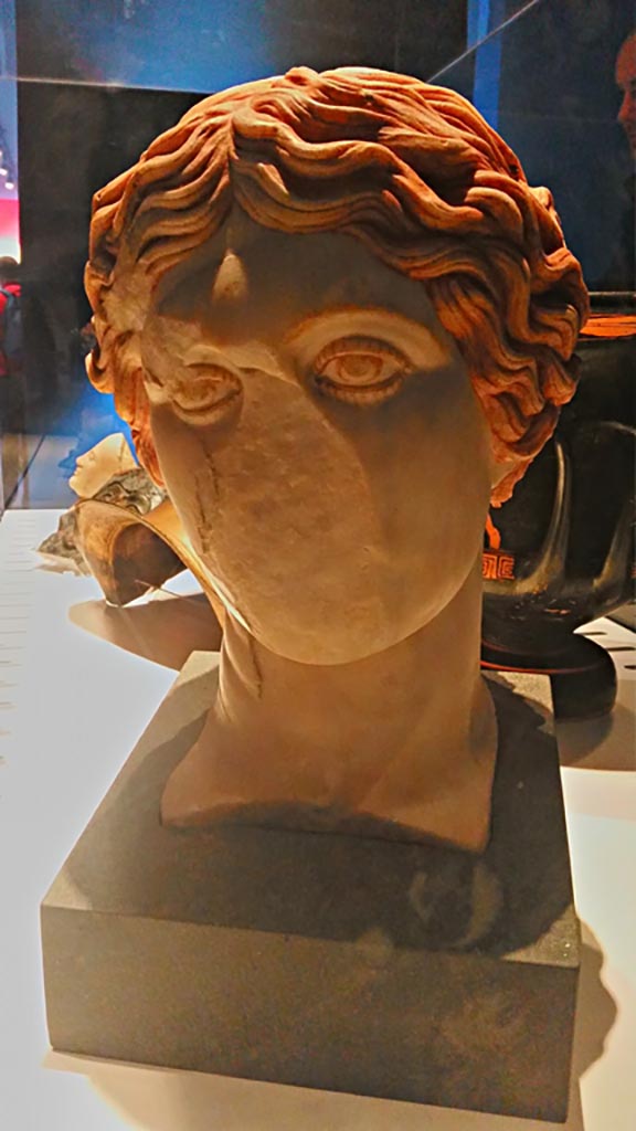 VII.16 Herculaneum, 2016/2017.
Head of an amazon, from Basilica Noniana, now in Herculaneum Deposits.
Photo courtesy of Giuseppe Ciaramella.